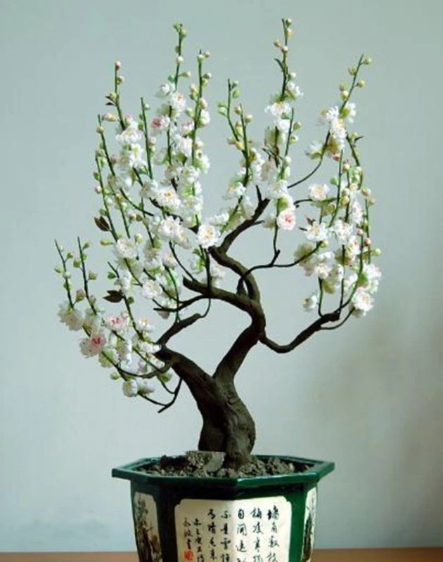 纸艺花-手工制作-教程与素材社区-探索手工艺术!